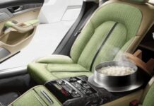 The Must-Have Travel Accessory: Car rice cookerss
