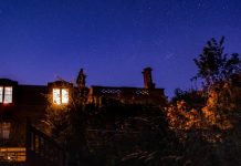 The Influence of Different Colored Toilet Lights on Mood